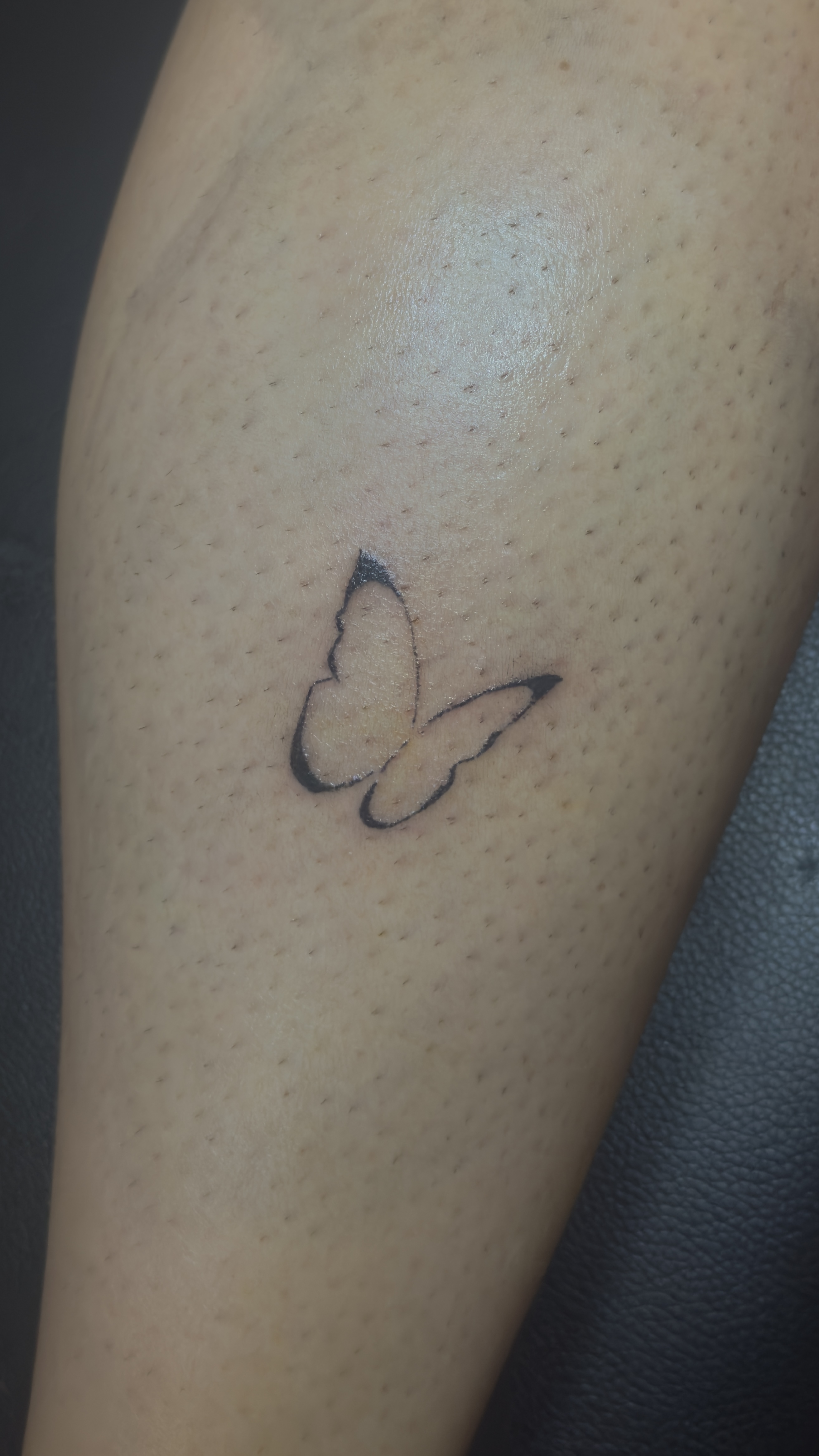 Tatouage papillon bras